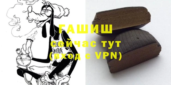 мдпв Осташков
