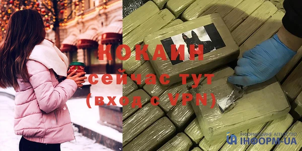мдпв Осташков