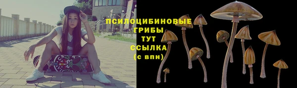 СК Остров
