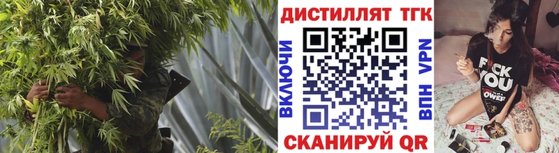 Дистиллят ТГК THC oil  Купить закладки  Пудож 