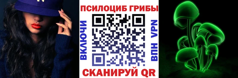 Купить где Пудож Галлюциногенные грибы ЛСД