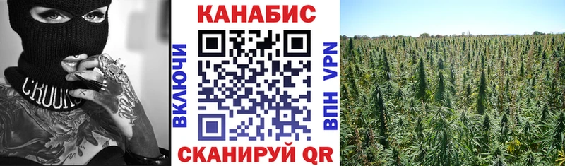 Бошки Шишки индика  Купить где  Пудож 